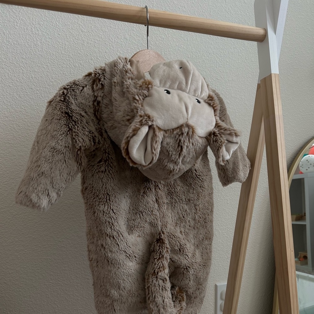 Pottery Barn Baby Monkey Costume